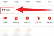 拼多多怎么修改多多钱包密码?拼多多修改多多钱包密码方法