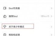 soul怎么开启青少年模式?soul开启青少年模式方法